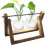 Σταθμοί πολλαπλασιασμού vintage design, Terrarium φυτών με ρετρό ξύλινη βάση, υδροπονία 1