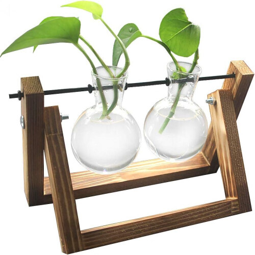 Σταθμοί πολλαπλασιασμού vintage design, Terrarium φυτών με ρετρό ξύλινη βάση, υδροπονία