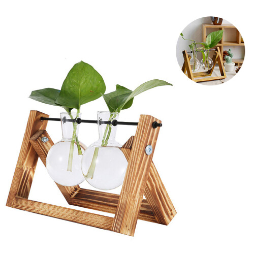Σταθμοί πολλαπλασιασμού vintage design, Terrarium φυτών με ρετρό ξύλινη βάση, υδροπονία 1