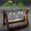Σταθμοί πολλαπλασιασμού vintage design, Terrarium φυτών με ρετρό ξύλινη βάση, υδροπονία 5