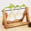 Σταθμοί πολλαπλασιασμού vintage design, Terrarium φυτών με ρετρό ξύλινη βάση, υδροπονία 4