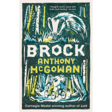 Brock by Anthony McGowan Paperback Book