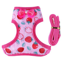 Rabbit Harness and Leash Small Animal Vest Easy Control for-2 M