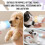 Light weight Pet Feeding For Small Animals Slip Resistant Base 7