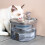 Pet water dispenser with automatic  circulationss Filtrations 4