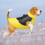 Keep Warm Dog Clothes for Winter Windproof Cat Jackets-Red L 7