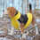 Keep Warm Dog Clothes for Winter Windproof Cat Jackets-Red L 5