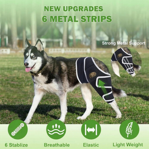 Dog Hip Joint Support Wrap Breathability Fabric For Post-L 1