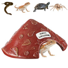 Tiny Wildlife Refuge For Toads Toads Herptiles Garden-brown