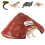 Tiny Wildlife Refuge For Toads Toads Herptiles Garden-brown 1