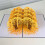 3D Ginkgo Forest Pop-Up Λουλούδια Κάρτα Ευχετήριας Κάρτας Επετείου, Κάρτα Επετείου Γάμου Pop 4