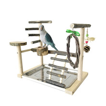 Bird Stand Desktops Training Perch Parrot Cage Perch with Bird
