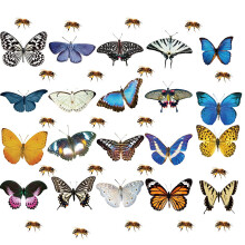 Prevent Bird Strikes with Hummingbird Window Clings, Double-Sided Window Clings for Patio Doors, Glass Panels, Bay Windows, Reusable Vinyl Window Stic