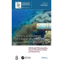 Numerical Simulation of Effluent Discharges by Yan Xiaohui Dalian Univ