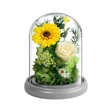 Romantic Sunflower Gifts for Her, Real Sunflower Under Glass Dome, Everlasting Sunflower, Unique Gift for Wife, Mom, Girlfriend, Grandma, Advanced Ann