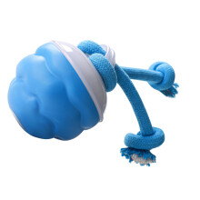 Electric Rolling Ball with Rope Motion Activated Dog-Toy ball