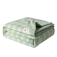 Elegant Summer Bedspread Sleep Blanket Providing-Jian Xilu A