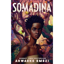 Somadina by Akwaeke Emezi Paperback Book