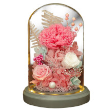 Regalos florales únicos, flores naturales de larga duración en una exquisita cúpula de cristal, ideales para mujeres en ocasiones especiales, San