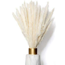 Indoor Outdoor Decoration, Baby Shower Décor, Durable Stems In Beige, Add A Touch Of Nature With Our Natural Dried Pampas Grass
