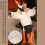 Crane Shape Pillow Plushes Pillow Soft Bedroom Sleeping-130cm 5