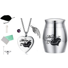 1set Pet Urn Storage Necklace and Cinerary Caskets-February