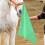 2PCS Green Nylon Horse Training Flags, Durable Equestrian Flags for Activity 6