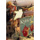 Kylooe by Little Thunder Paperback Book 1