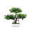 Τεχνητό δέντρο μπονσάι για διακόσμηση σπιτιού, μη τοξικό, ανθεκτικό υλικό 1