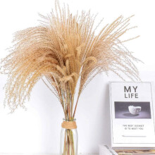 Decoração Boho para Casa, Capim-dos-Pampas Natural Seco de Origem Ética, Flores Secas Práticas e de Baixa Manutenção para Arranjos Florais de