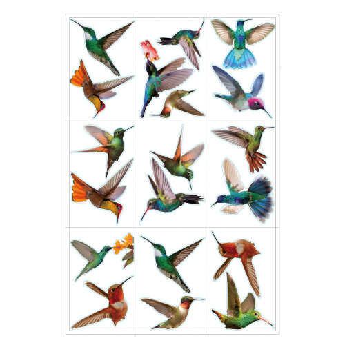 Κολιέ παραθύρου Hummingbird, Κολιέ παραθύρου κατά της σύγκρουσης, διπλής όψης τυπωμένο