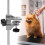Secure Pet Grooming Table Clamp Strong and Convenient-L 4