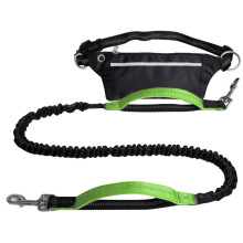 Dog Leash and Walking Waist Bag Set-forest green suit