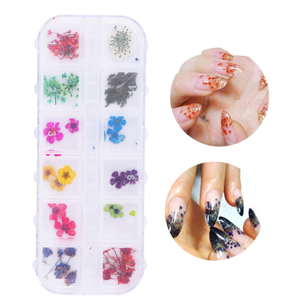 12 Colors Natural Dried Flower for Nail Art Acrylic UV Gel Tips DIY Design