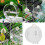 NonSpill Bird Water Feeders Intelligent Touch Needle Design 2