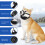 Soft Dacrons Dog Muzzle Quickly Release Dog Muzzle Dog Padded-L 7