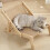 Scratching Chair for Cats Adjustable Scratching Post Multifunctional Cat Tree Solid Wood Sharpening Claws 2