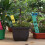 Etichette da giardino in PVC resistente e impermeabile, riutilizzabili, decorative e adatte alle piante. 8
