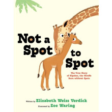 Not a Spot to Spot by Elizabeth Weiss Verdick Hardcover Book