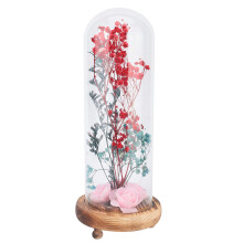 Geschenke für sie zu jedem Anlass, LED-Lichterkette, konservierte Rose in einer Kuppel, Symbol der ewigen Liebe, handgefertigt, perfektes Geschenk