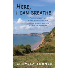 Here I Can Breathe by Chryssa Turner Paperback Book