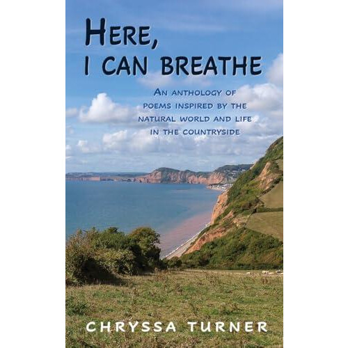 Here I Can Breathe by Chryssa Turner Paperback Book