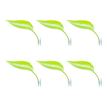 6PCS Reptiles Basking Platform Leaf for Turtles and-Light Green