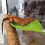 6PCS Reptiles Basking Platform Leaf for Turtles and-Light Green 7