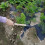 Εργαλείο κηπουρικής 2 σε 1, Ελαφριά εργονομική λαβή με βαριά λειτουργικότητα 7