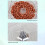 Aquarium Filter Biofilter Cartridges for FreshWater and-S 6