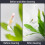 Algae Scrapers Aquarium Magnetic Brush Tool Floating-White CL01 7