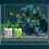Plastic Water Plant Basket Multiple Use Fishtanks-Green 2
