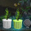 Plastic Water Plant Basket Multiple Use Fishtanks-Green 6