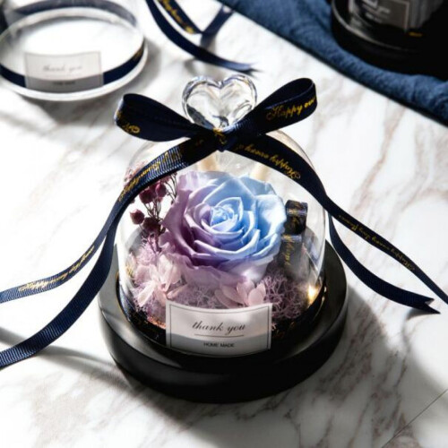 Infinity Rose: Bevarte blomster for evig kjærlighet og beundring 1